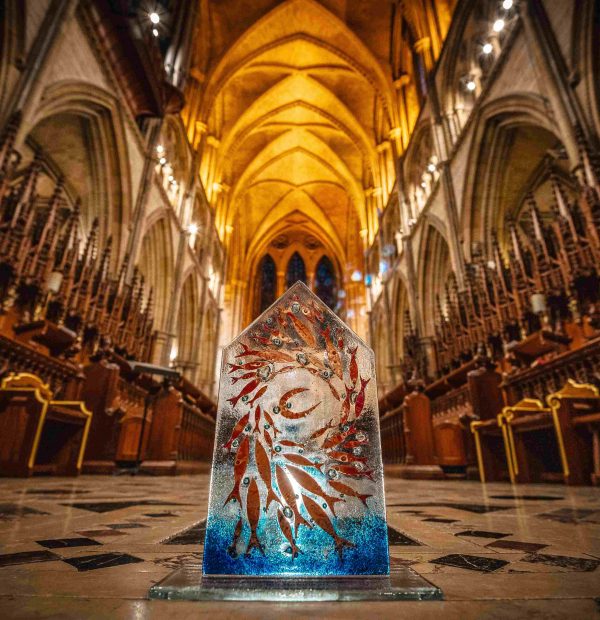 Awards images in cathedral